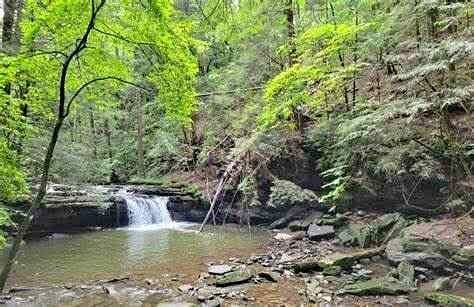 JOSE'S FORTUNE - TRONSON CREEK NORTH OF LIBERTY  mining claim in LIBERTY, WA