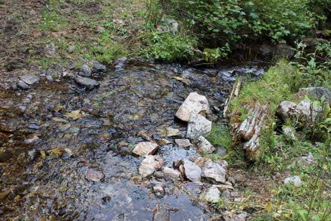 Golden Eagle Claim mining claim - Photo 1