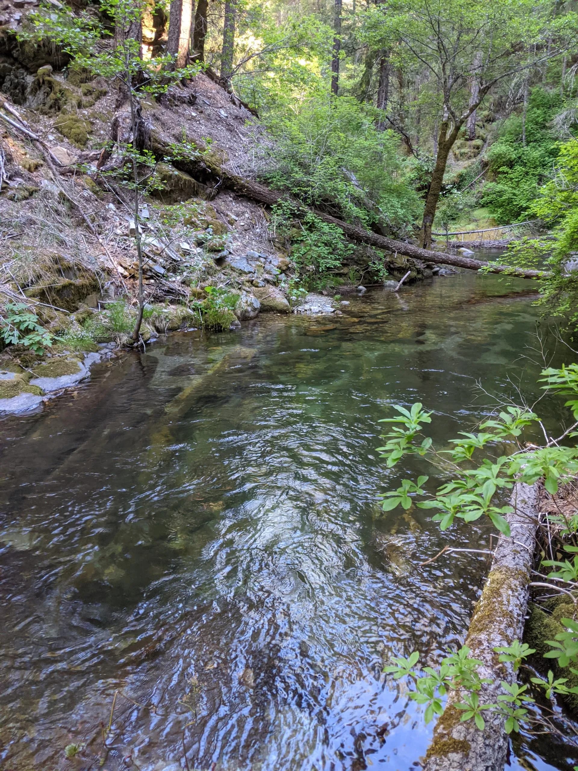 Golden Eagle Claim mining claim - Photo 2