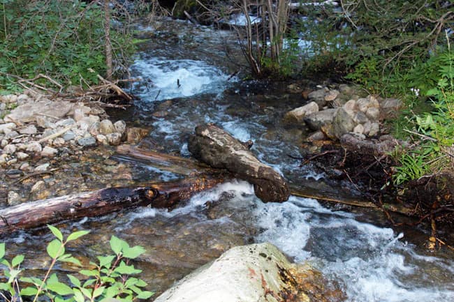 Silver Bear Claim mining claim - Photo 1