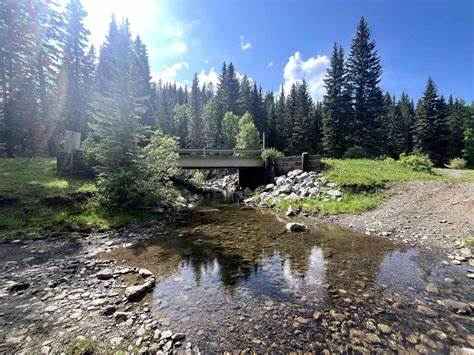 JOSE'S FORTUNE - TRONSON CREEK NORTH OF LIBERTY mining claim - Photo 2